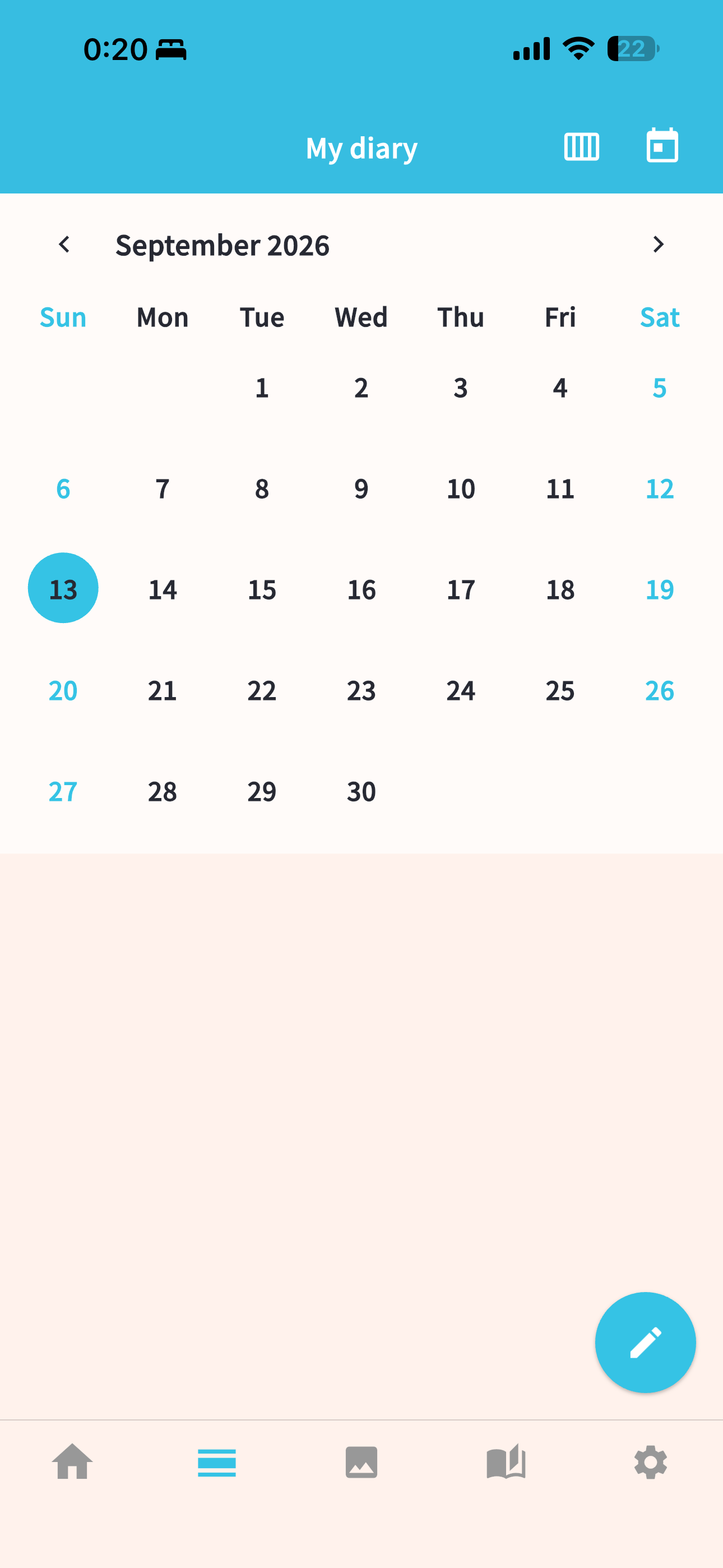 Calendar view of the diary app
